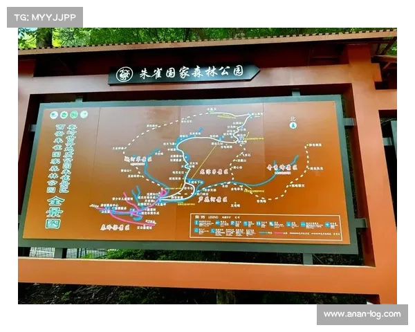 朱雀天境探秘六大步骤带你轻松进入神秘境界探索之旅 朱雀天境探秘六大步骤带你轻松进入神秘境界探索之旅
